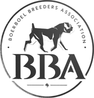 BBA