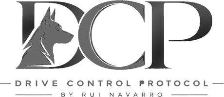 DCP, Drive Control Protocol