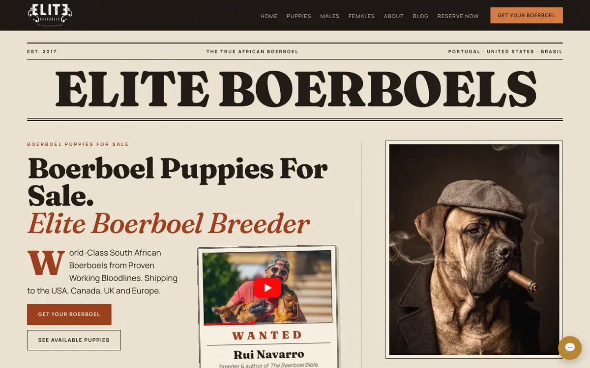 Elite Boerboels